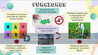 SENASA Y SUS FUNCIONES [upl. by Sandy]