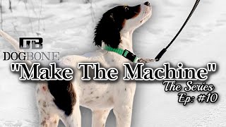 English Setter Training Heel Work quotMake the Machinequot  Ep 10 [upl. by Brebner]