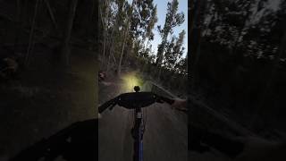 It’s Headlight Season biking mountainbike [upl. by Honan831]