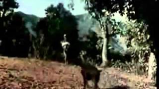 banma fulyo  original video from sindur nepali movie [upl. by Williamson267]