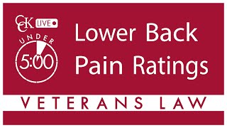 VA Disability Rating for Lower Back Pain [upl. by Woehick]