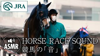 【ASMR】HORSE RACE SOUND 〜競馬の「音」〜  JRA公式 [upl. by Cassil]