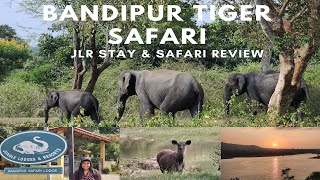 Bandipur National Park  JLR Stay and Safari  Leopard spotting [upl. by Aridan]