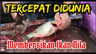 TERCEPAT DIDUNIA MEMBERSIHKAN IKAN NILA [upl. by Musa]