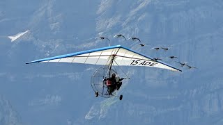 Christian Moullec flying with the Birds Zigermeet 2019 Mollis AirShow [upl. by Eboj]