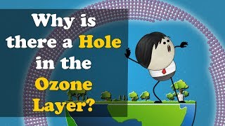 Why is there a Hole in the Ozone Layer  more videos  aumsum kids science education children [upl. by Ahsiener]