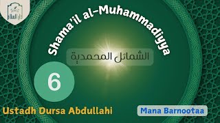 06 Shamail al Muhammadiyya الشمائل المحمدية – Ustadh Dursa English [upl. by Nevad]