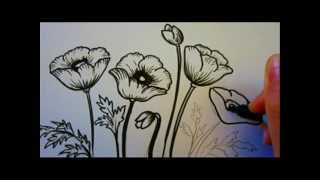 Flower Tutorial  How To Draw Flowers  Poppy Flowers [upl. by Yanttirb]