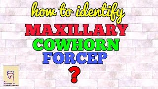 MAXILLARY COWHORN FORCEP  IDENTIFICATION [upl. by Gannon162]