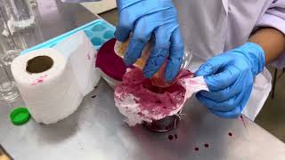 Lipstick Making Procedure — CosmeticsActivity 8 by Pr2m Pharmaceuticals [upl. by Jennee]