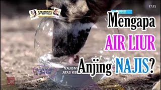 MENGAPA AIR LIUR ANJING NAJIS  Berita Islami [upl. by Suzann]