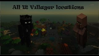 All 12 New Villager Locations Hypixel Skyblock [upl. by Sumahs]