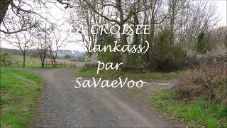 LA CROISEE Blankass cover by SaVaeVoo [upl. by Roleat794]