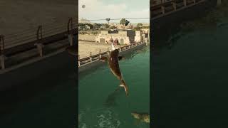 Dunkleosteus shows off its incredible jumping ability  Jurassic World Evolution 2 [upl. by Adnilak373]