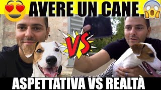 AVERE UN CANE  Aspettativa VS Realtà  iPantellas [upl. by Fabyola]