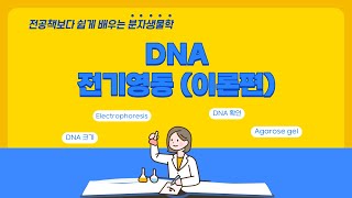 A03 DNA 전기영동Electrophoresis 관련 이론 총집합 [upl. by Philender]