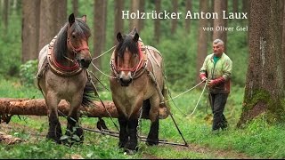 Holzrücker  Waldarbeit mit Pferden [upl. by Iman108]