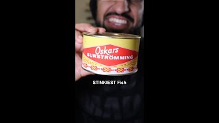 Lets Try the STINKIEST FISH in the World Surströmming [upl. by Frerichs]