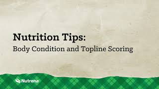 Nutrena Nutrition Tips Body Condition and Topline Scoring Horses [upl. by Airotkciv]