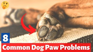 8 Common Dog Paw Problems that you must NOT IGNORE  How to care for your dogs Paws [upl. by Lareena]