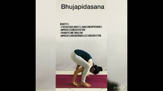 Bhujapidasana or Shoulder Pressed pose [upl. by Joell]