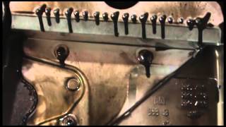 Schaeffer Mfg Million Mile Diesel Engine Teardown [upl. by Derrek759]