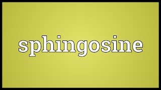 Sphingosine Meaning [upl. by Lumbard]