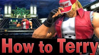 Smash Ultimate How to Terry [upl. by Anilat]