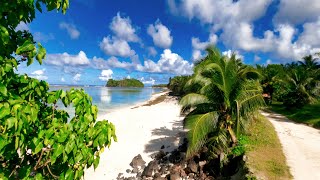 Rotuma A Polynesian Island Paradise in Fiji [upl. by Clifton]