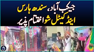 Jacobabad Sindh Horse and Cattle Show concludes  Aaj News [upl. by Ermine]