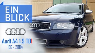 Audi A4 B6 19 TDI 2004  Die BESTE WAHL in der Welt der A4s [upl. by Warthman]