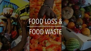 FAO Policy Series Food Loss amp Food Waste [upl. by Lebana]