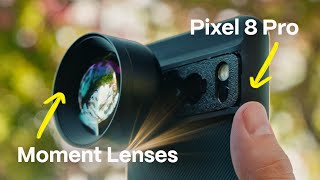 Google Pixel 8 Pro  Moment Lenses  Test amp Review [upl. by Phelgon435]