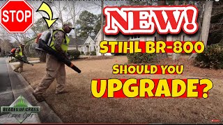 STIHL BR 800 blower  Benefit  First impression [upl. by Olfe273]