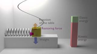 Animation of an Harmonic oscillator mechanics physics [upl. by Rednave908]