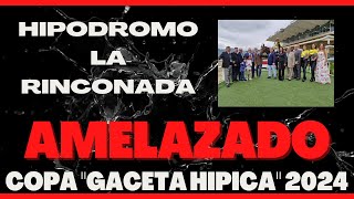 Copa quotGACETA HIPICAquot 2024  MOSCABADO  Hipódromo La Rinconada [upl. by Arel]