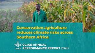 Conservation agriculture reduces climate risks throughout Southern Africa [upl. by Rieger465]