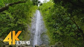 Gorgeous Waterfalls in 4K 60fps 2160p  Soothing Nature Video for RelaxationOahu Waterfalls 5 HRS [upl. by Anwat]