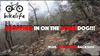 Bomb Dog Mountain Bike Trail  MTBing Coldwater Mountain  Alabama Chilowhee MTB Trail [upl. by Clementina]