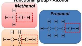 Chemistry  Functional group  Hydroxyl OH – Carbon Compounds  Part 5  English [upl. by Asta]