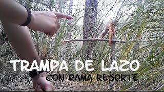 Fácil Trampa de lazo Supervivencia  Bushcraft [upl. by Ebehp]