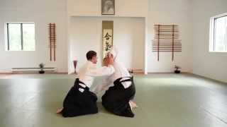 Aikido Suwari Waza [upl. by Efrem168]