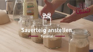 Sauerteig anstellen  Tutorial  KrusteampKrume [upl. by Animrelliug]