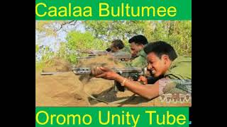 Caalaa Bultumee kai qeerroo new oromo music [upl. by Clovis898]