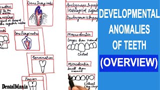 Developmental anomalies of teeth  Overview  ALL ANOMALIES COVERED in a SINGLE video [upl. by Enamrej860]