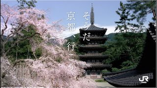 【WEB動画】2022年 春 そうだ 京都、行こう。（60秒） [upl. by Nogem904]