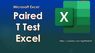 How to do Paired T Test Excel [upl. by Alehtse]