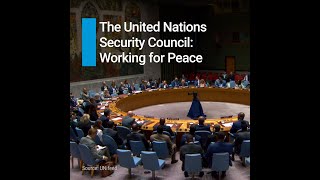 Security Council explainer video [upl. by Verna979]