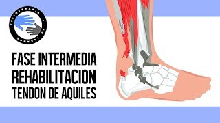 Rotura del tendon de aquiles ejercicios y rehabilitacion postcirugia en la fase intermedia [upl. by Elie117]