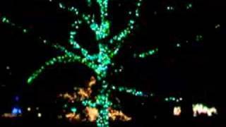 Longwood Gardens Christmas Lights [upl. by Inobe]